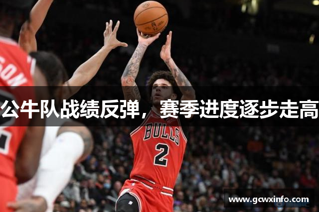 公牛队战绩反弹，赛季进度逐步走高