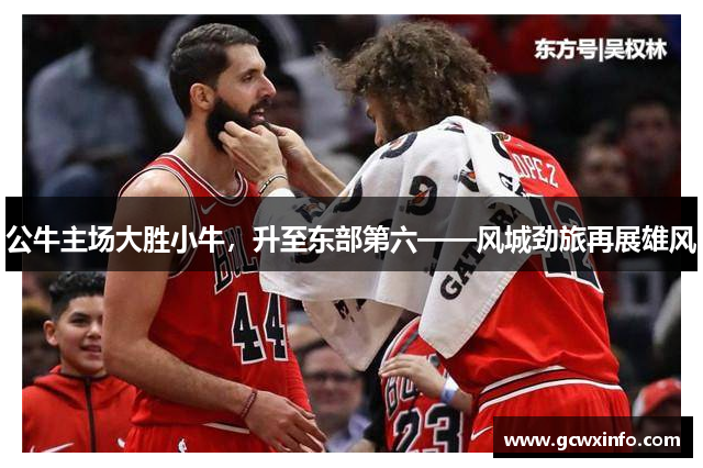 公牛主场大胜小牛，升至东部第六——风城劲旅再展雄风