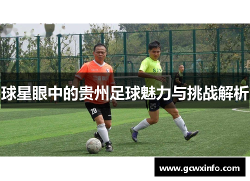 球星眼中的贵州足球魅力与挑战解析