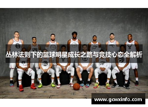 丛林法则下的篮球明星成长之路与竞技心态全解析